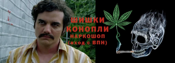 мет Алексин