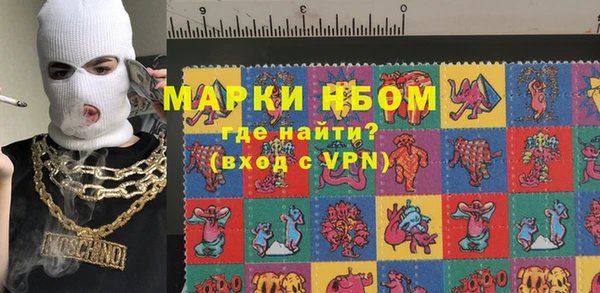 мет Алексин