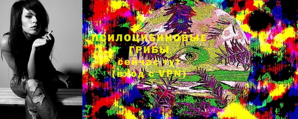 мет Алексин