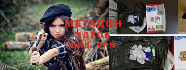 мет Алексин